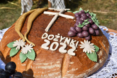 Zdjęcie z galerii Święto Powiśla Dąbrowskiego – Dożynki Powiatowe i Targi Gospodarcze 2022