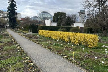 Zdjęcie z galerii Naukowe Warsztaty Weekendowe 01.04.2023