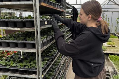 Zdjęcie z galerii Praktyki zawodowe w Grecji 2025 24.10.2025