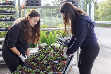 Zdjęcie z galerii Praktyki zawodowe w Grecji 2025 24.10.2025